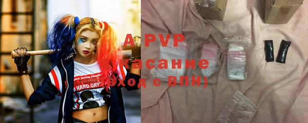 spice Ельня