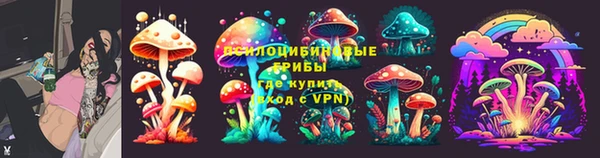 spice Ельня
