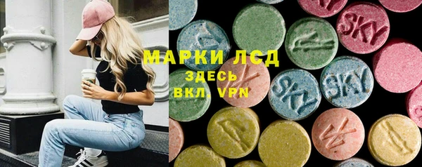 spice Ельня