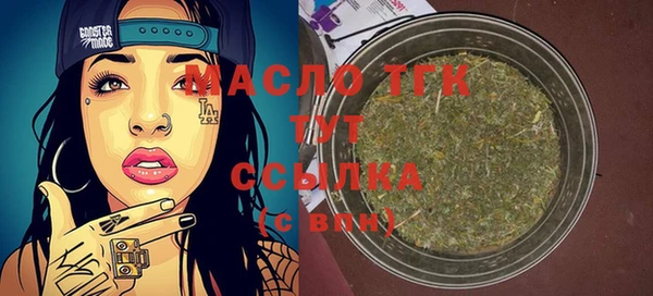 spice Ельня