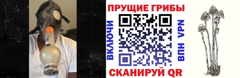 Псилоцибиновые грибы GOLDEN TEACHER  Жигулёвск 